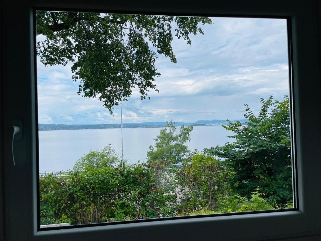 Nice Apartment With1 Bedroom Separate Living Room With A Sofa Bed And A Tiny Kitchen A Bathroom Located In Nordstrand Near By The Sea For 3 Guests With A Garden And Grill 5 Extra Guests With Extra Cost In The Cabin With Sea View Just Outside The Apar 奥斯陆 外观 照片
